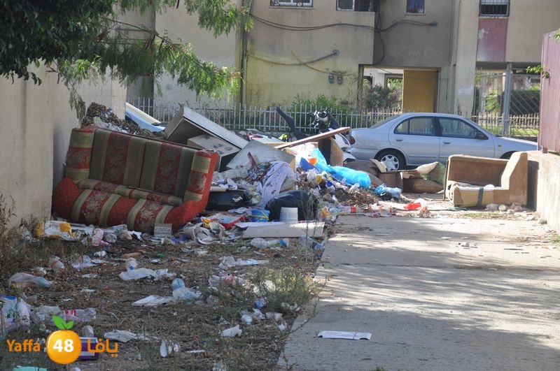 rawda narjes s111 (7).JPG